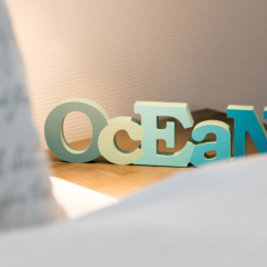 DSC_0838.jpg