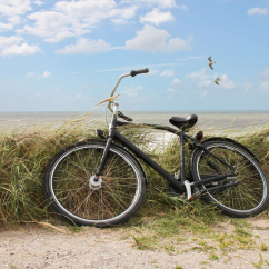 Fotolia_48537461_S.jpg